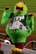 Pirate Parrot