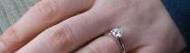 The Proposal